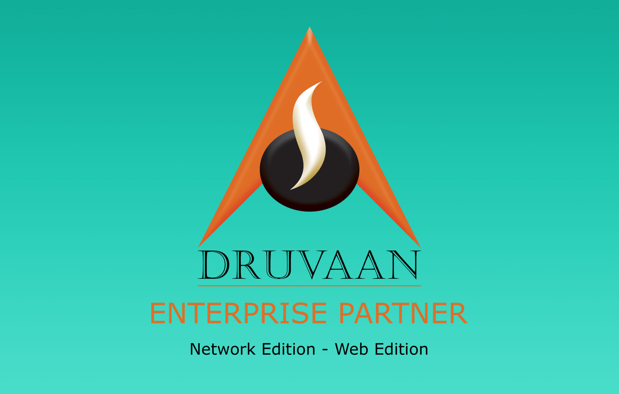 Enterprise Partner